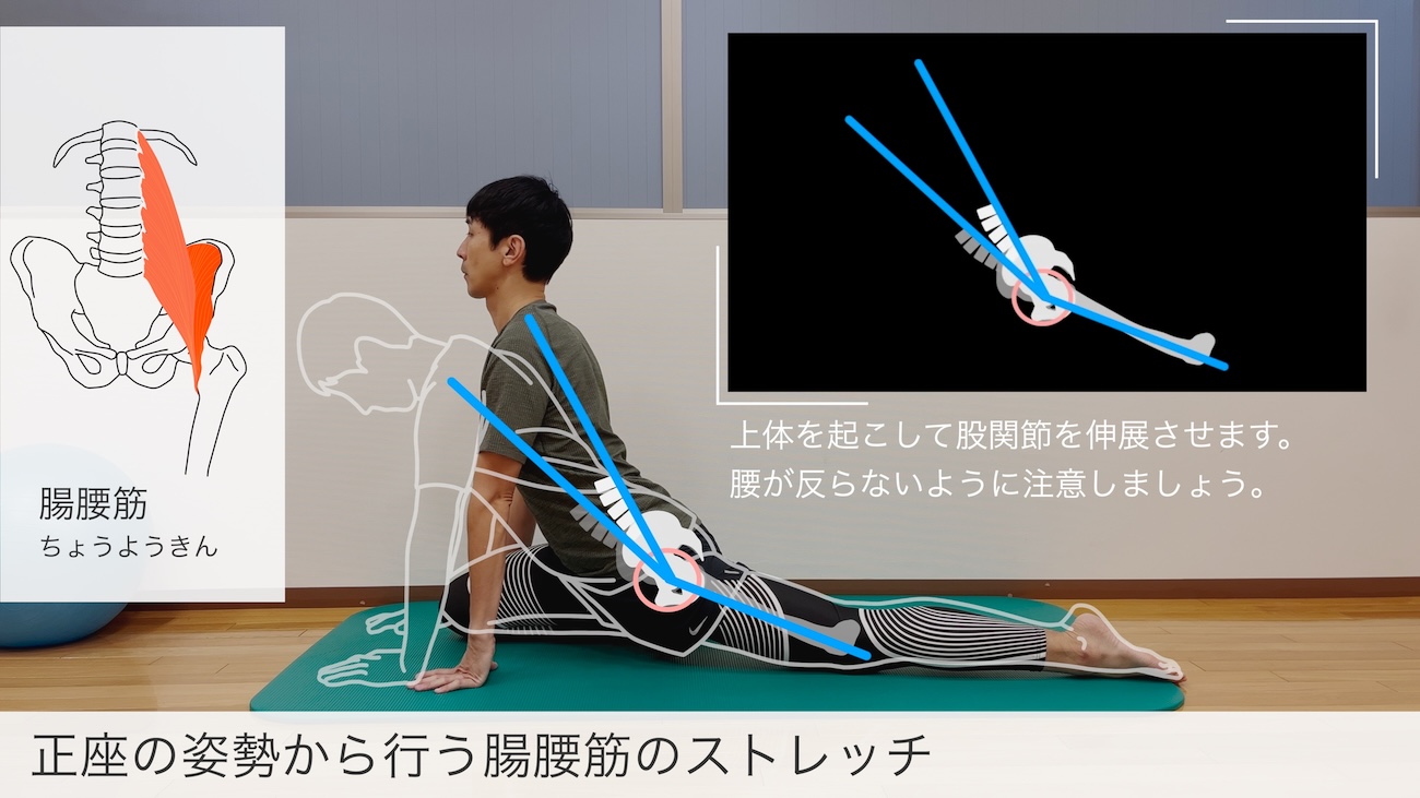 図解でわかりやすい】正座の姿勢から行う腸腰筋のストレッチ」を