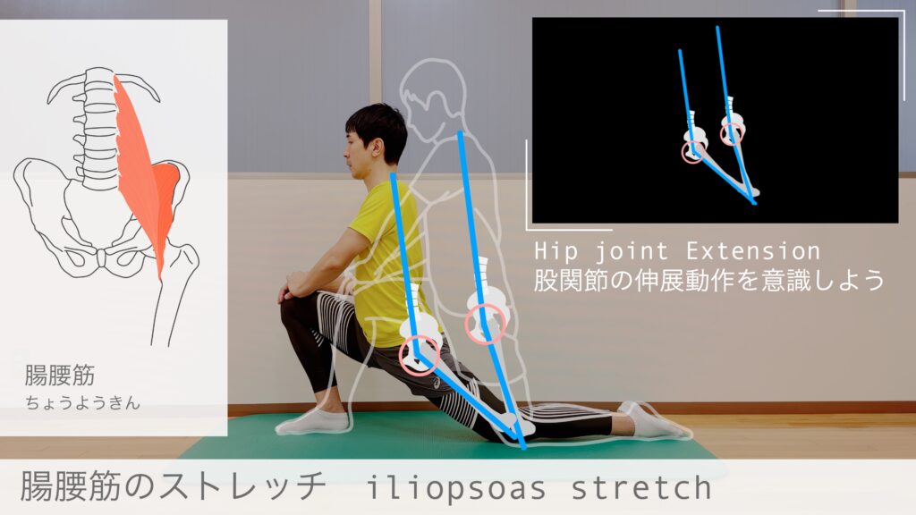 【股関節の動きをイメージして行う腸腰筋のストレッチ】骨盤前面（腸腰筋）のストレッチのコツを図解でわかりやすく解説