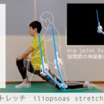【股関節の動きをイメージして行う腸腰筋のストレッチ】骨盤前面（腸腰筋）のストレッチのコツを図解でわかりやすく解説