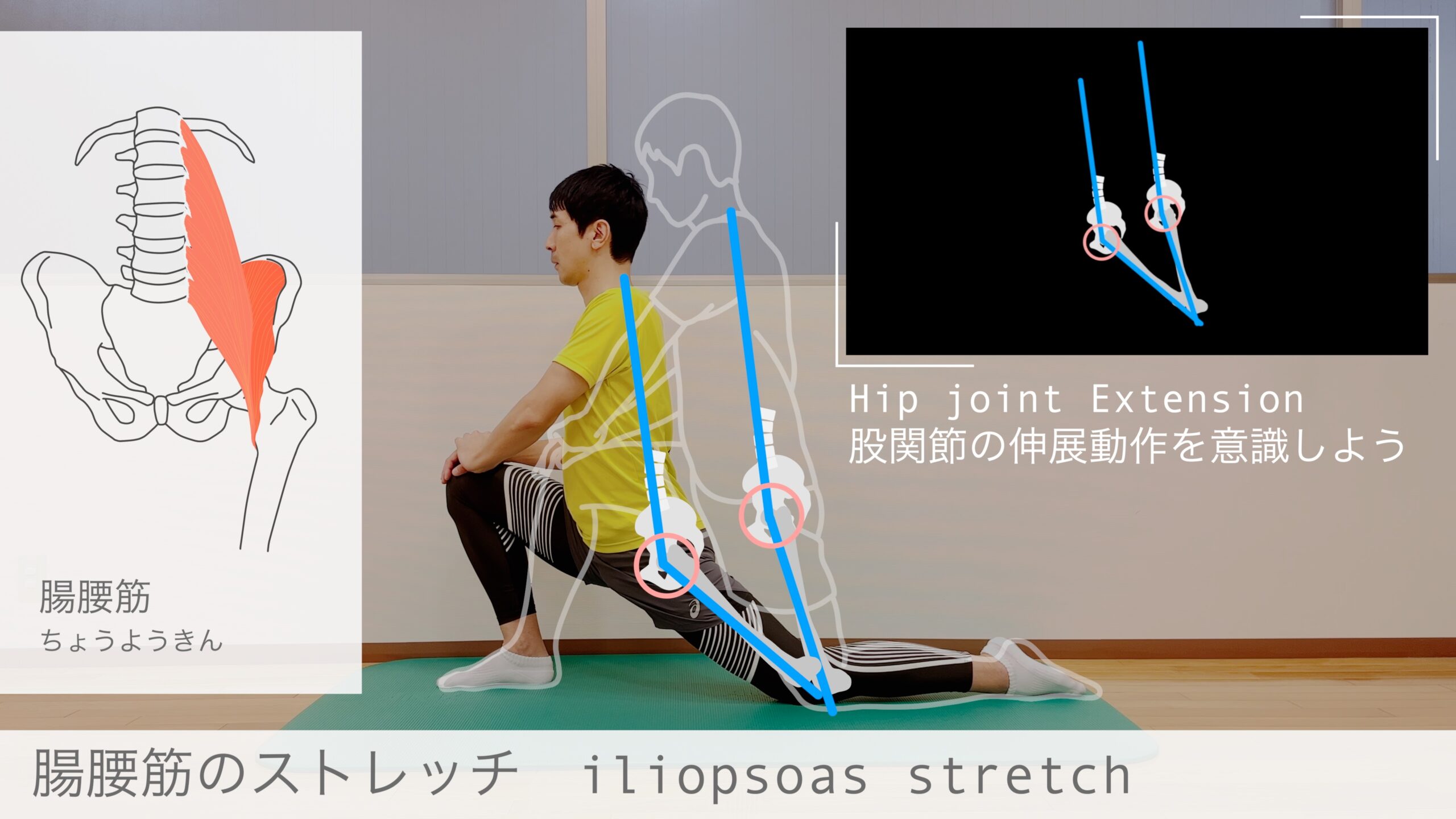 股関節の動きをイメージして行う腸腰筋のストレッチ】骨盤前面（腸腰筋）のストレッチのコツを図解でわかりやすく解説」をYouTubeにアップしまし ...