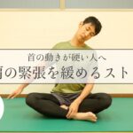 首と肩の緊張を緩めるストレッチ