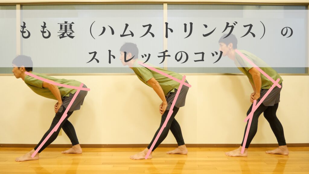 ハムストリングスのストレッチのコツ