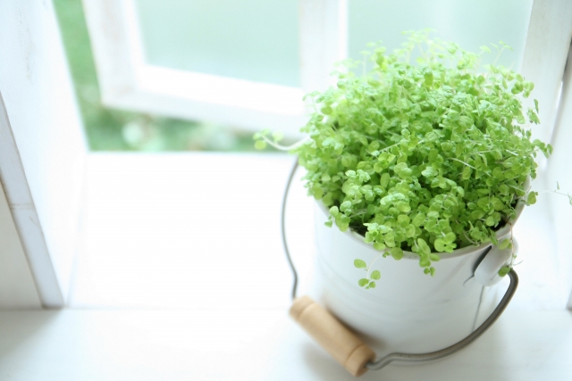 Body Motion Labのお知らせ